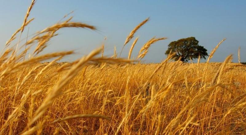 Herdade Do Gizo Cuba Ngoại thất bức ảnh